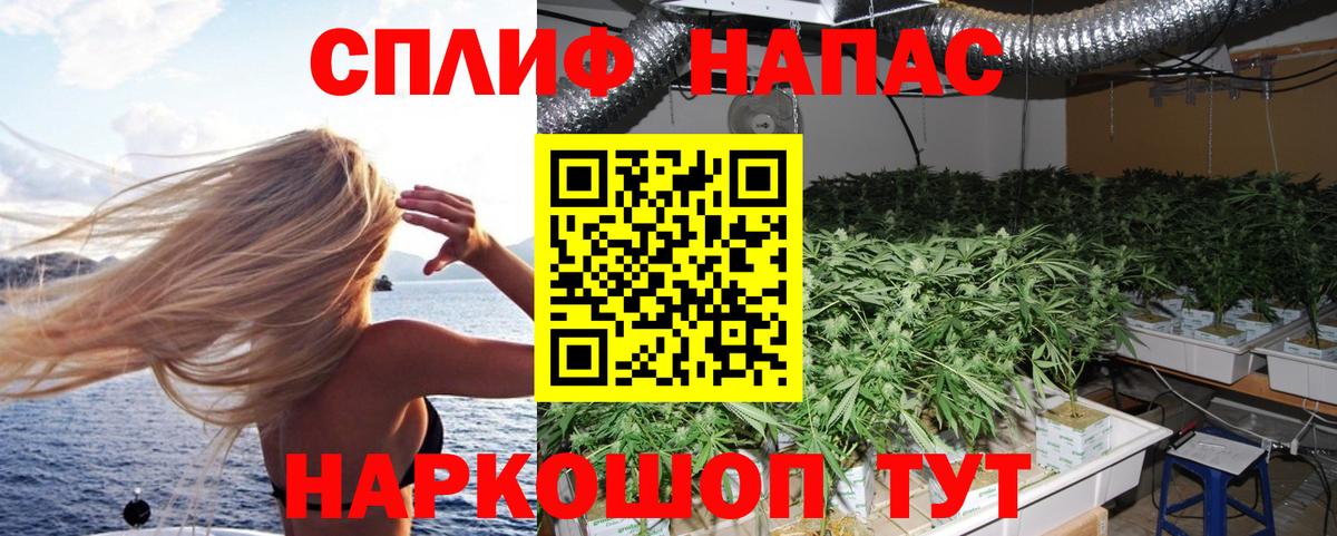 Бошки Шишки планчик  Конопля семена  Североуральск  Шишки марихуана AK-47 